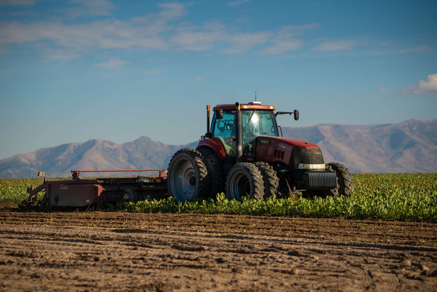 51039379118_5237bc27a3_o-47b70524349747caa9883fda420f3cb5